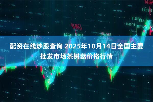 配资在线炒股查询 2025年10月14日全国主要批发市场茶树菇价格行情
