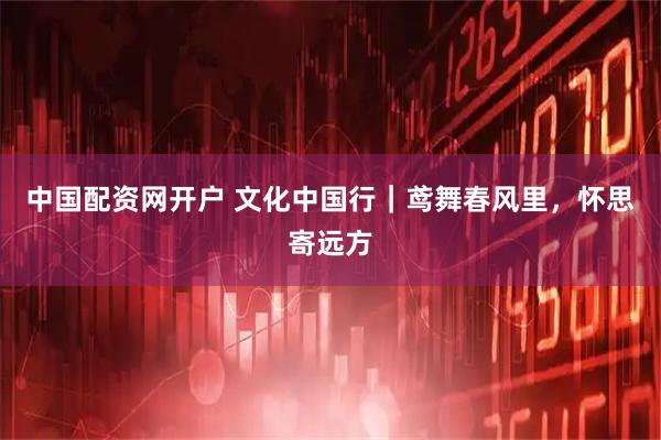中国配资网开户 文化中国行｜鸢舞春风里，怀思寄远方