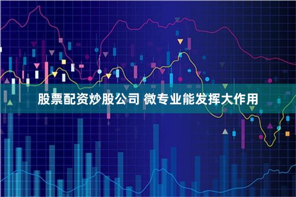 股票配资炒股公司 微专业能发挥大作用