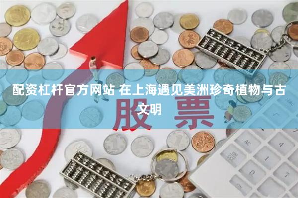 配资杠杆官方网站 在上海遇见美洲珍奇植物与古文明